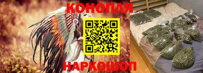 сатива Ставрополь