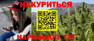 сатива Ставрополь