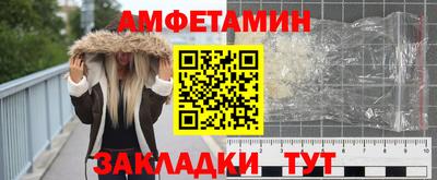 сатива Ставрополь