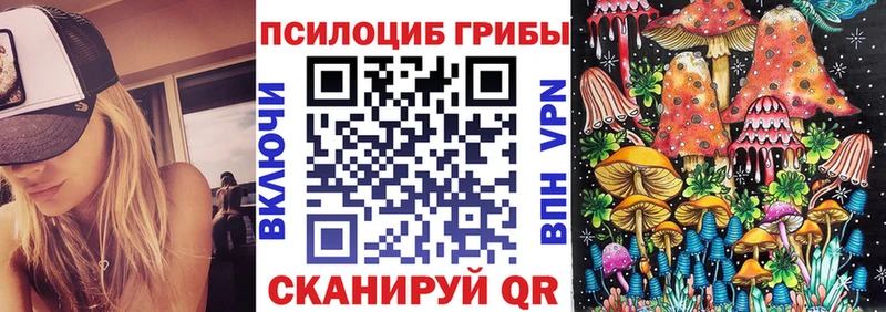 дарнет шоп Тутаев Псилоцибиновые грибы прущие грибы