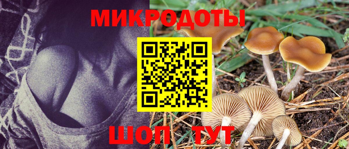 Галлюциногенные грибы Magic Shrooms Тутаев