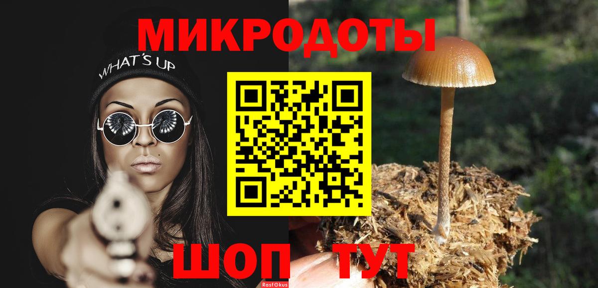 Тутаев  Галлюциногенные грибы Cubensis  Вход с VPN 
